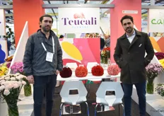 Brothers Alejandro Ruiz and Juan Pablo Ruiz of Teucali. First time exhibitors looking to expand markets in Europe. They grow carnations and Freedom roses in Colombia.
